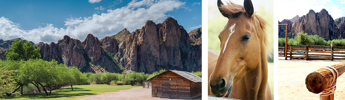 Saguaro Lake Ranch Stable